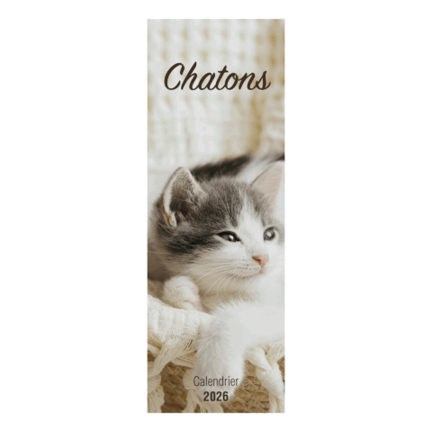 Calendrier chatons 2026