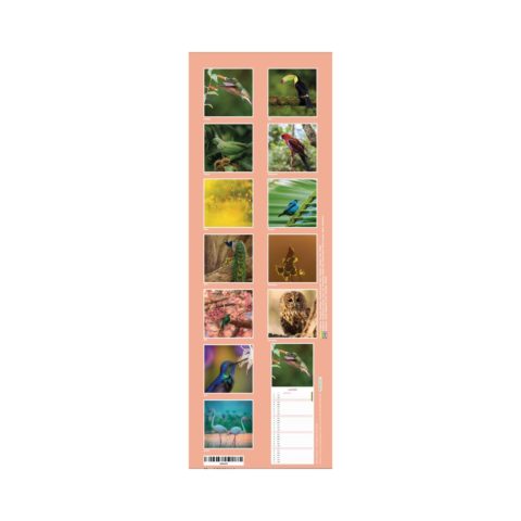 Calendrier oiseaux 2026