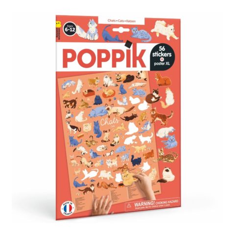 Poster à compléter chats