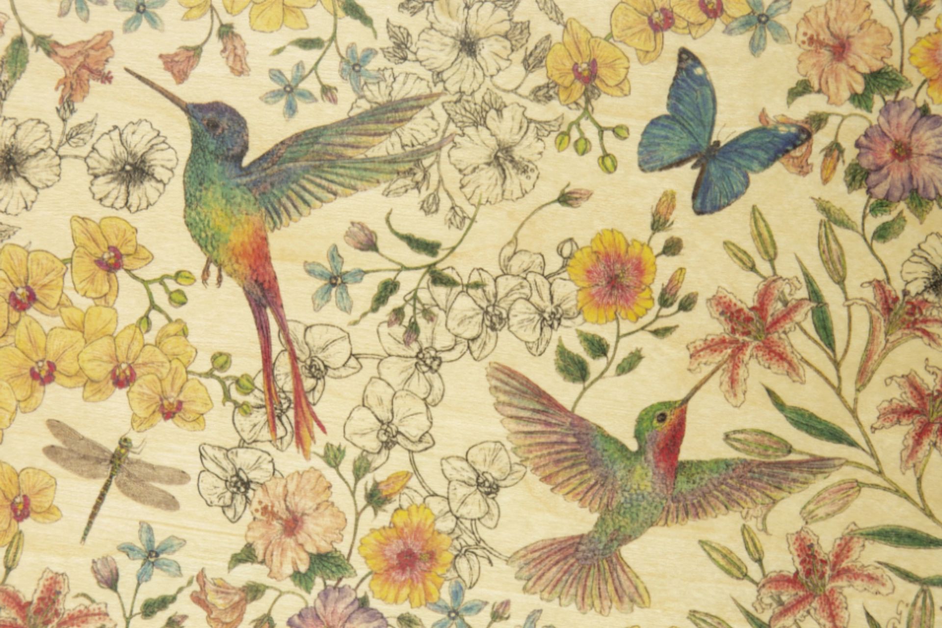 Carte en bois – Black and Colors Colibris